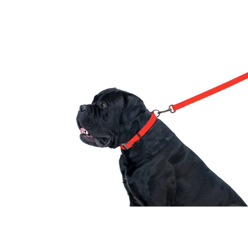 Поводок WAUDOG Waterproof, светящийся 25 мм 183 см красный (27223): Вид Обычный