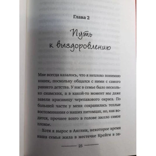 Джеймс Боуэн: Как уличный кот изменил мою жизнь: ISBN 978-5-386-12269-0