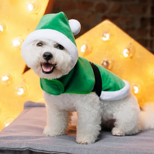 Попона Pet Fashion SANTA зеленая S (4823082432073): Размер животного Маленькие