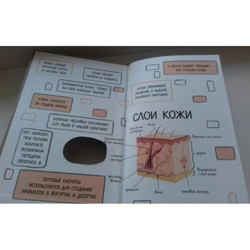 Что скрывает кожа. 2 квадратных метра, которые диктуют, как нам жить фото 10