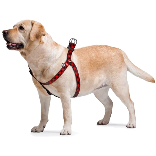 Шлея WAUDOG Nylon с QR-паспортом, рисунок "Шотландка красная" 20 мм 50-80 см красная (4982) фото 2