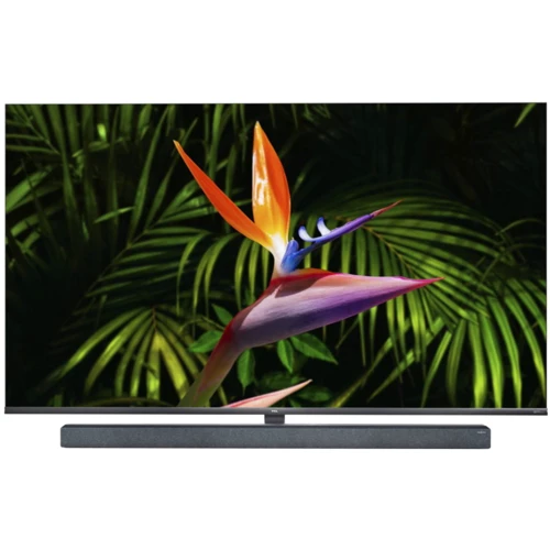 

Tcl 65X10