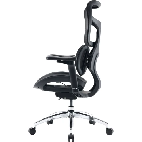 Офисное кресло Sihoo DORO S100 Mesh Black (S100-M301)