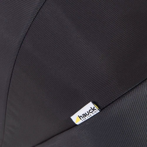 Прогулочная коляска для двойни Hauck Rapid 3R Duo с адаптерами (silver/charcoal): Количество блоков 2