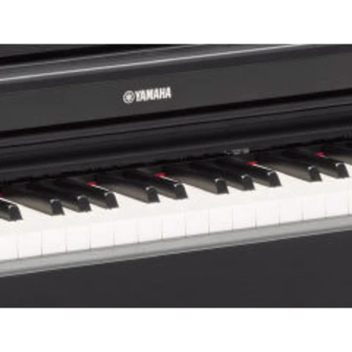 Цифровое пианино YAMAHA ARIUS YDP-103B (+блок питания): Количество клавиш 88 (7.5 октав)