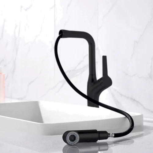 Смеситель для раковины Lefton Single-Hole Rotatable and Pull-Out Faucet-BF2205 Matt Black: Термостат Нет