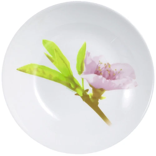 Столовый сервиз Luminarc Diwali Water Color 19 пр. (Q3438): Количество предметов в наборе 19