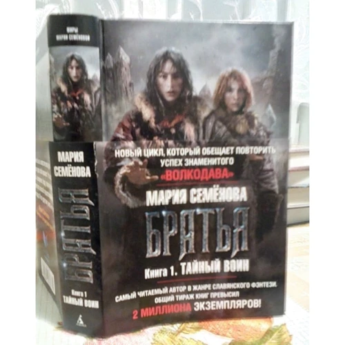 Братья. Книга 1. Тайный воин: Производитель Азбука