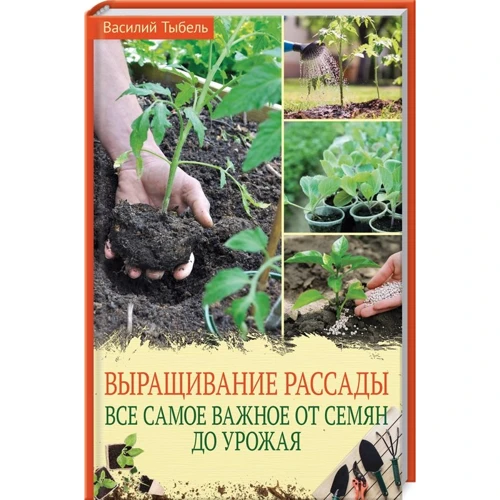 Василий Тыбель: Выращивание рассады. Все самое важное от семян до урожая