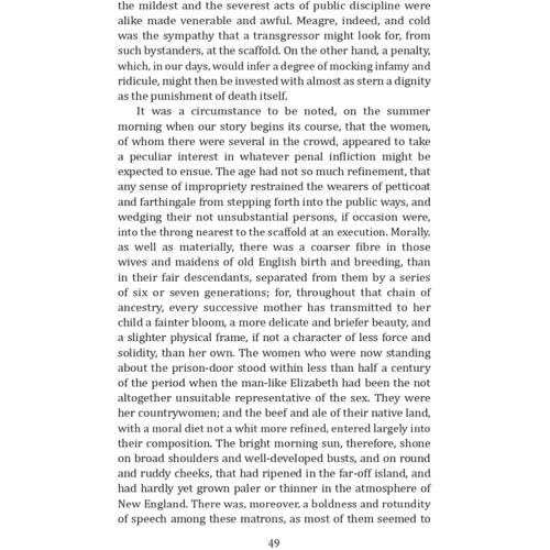 Nathaniel Hawthorne: The Scarlet Letter: Количество страниц 255