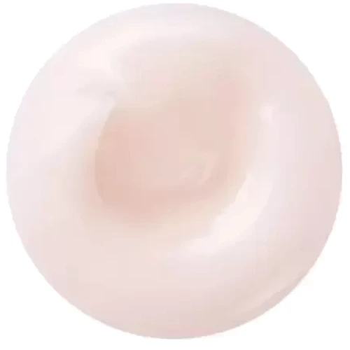 Shiseido White Lucent Brightening Gel-Cream Освітлювальний гель-крем для обличчя 50 ml: Час застосування універсальний