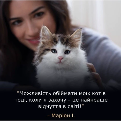 Сухой корм Pro Plan LiveClear Kitten для котят с индейкой 1.4 кг (7613287232526) фото 11