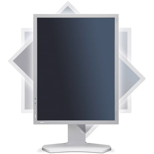 Монитор NEC P212 (60003989): Разъемы DisplayPort, VGA, HDMI, DVI