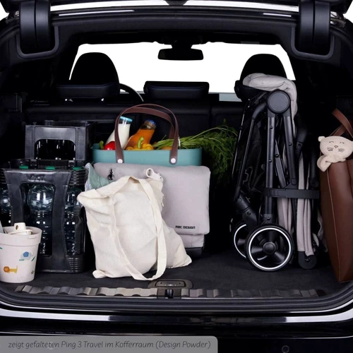 Прогулочная коляска ABC Design Ping 3 Travel Pine (12004972302) фото 11