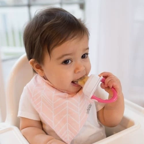 Ниблер для введения прикорма, цвет розовый (TF005-P3)