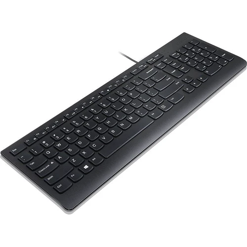 Клавиатура Lenovo Essential Wired Keyboard Black (4Y41C75141): Подключение проводное