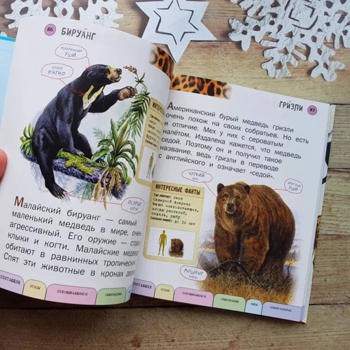 Елена Ананьева: Все животные с крупными буквами: Количество страниц 256