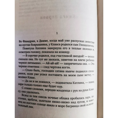 Шарль де Костер: Легенда об Уленшпигеле: Количество страниц 576