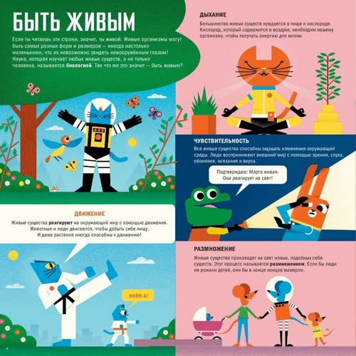 Доминик Воллиман: Профессор Астрокот и его путешествие по телу человека: ISBN 978-5-00117-659-6