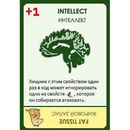 Настольная игра Эволюция. Время летать (Evolution): Возраст от 12-ти лет