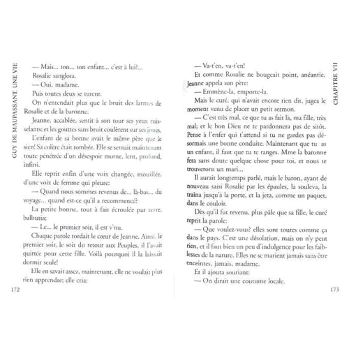 Ги де Мопассан: Жизнь /: ISBN 978-5-9925-0694-5