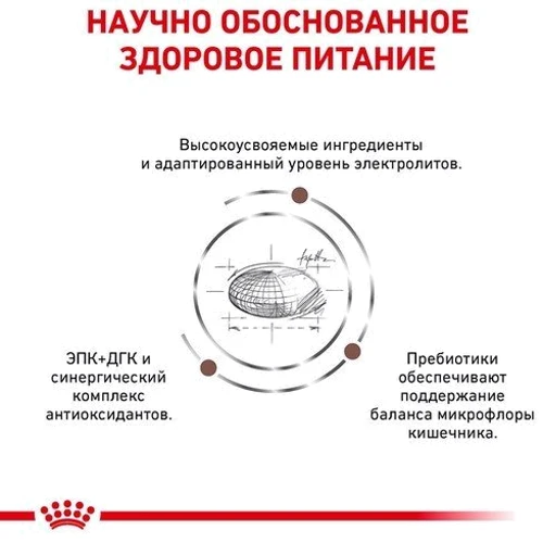 Сухий корм для котів Royal Canin Hepatic при захворюваннях печінки 2 кг (401202091): Порода всі породи