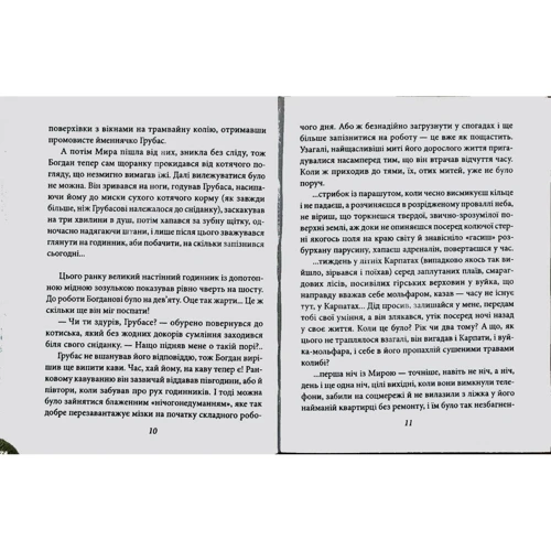 Гранецька, Нікуліна, Однорог: Дім, у котрому заблукав час: Количество страниц 384