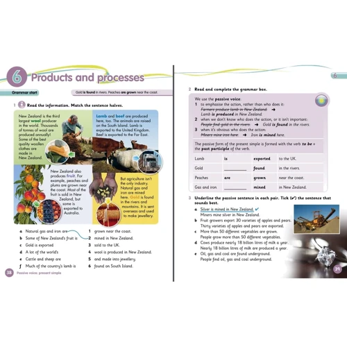 Grammar Goals 5: Pupil's Book with Grammar Workout CD-ROM: Обложка Мягкая