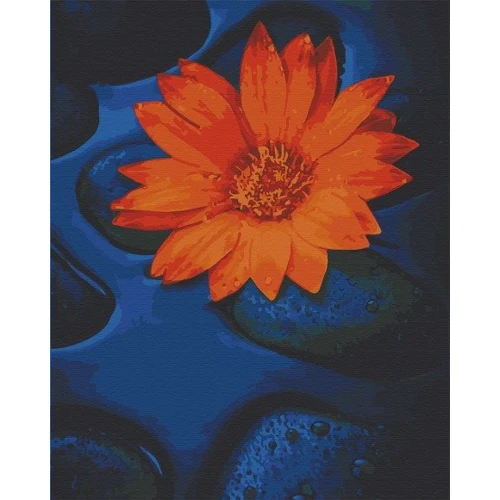 Картина за номерами Art Craft Квітка лотоса 40х50 см (13124-AC)