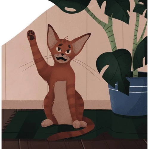 Тетяна Гордінчук: Рудольф. Пихатий кіт / Rudolph The Arrogant Cat: Обкладинка Твердая