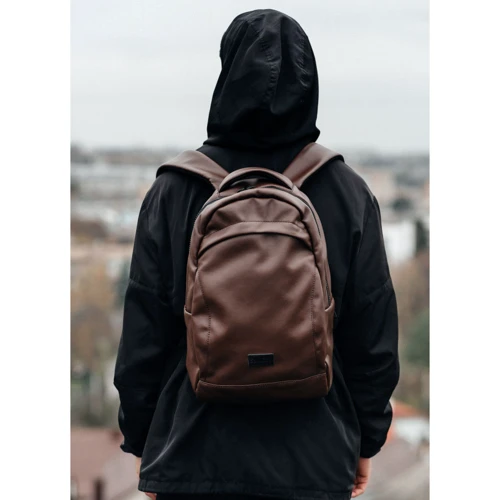 Чоловічий рюкзак Sambag Zard LZN шоколадний (25000020): Тип Рюкзаки