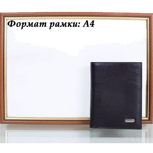 Мужское портмоне Canpellini черное (SHI505-1): Тип Портмоне