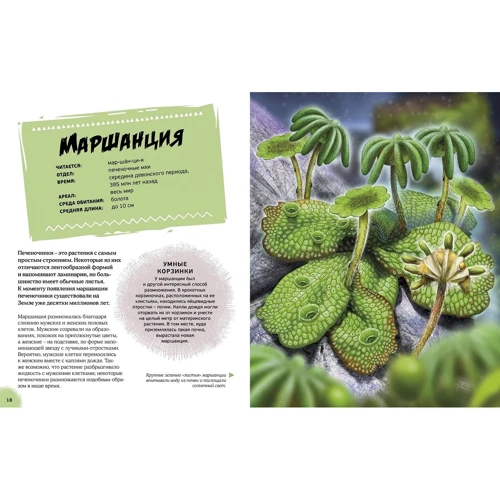 Клэр Гибберт, Рудольф Фаркас: Эра динозавров. Жизнь в доисторические времена: Производитель Махаон