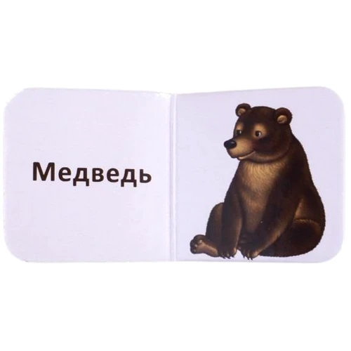 Міні – книжки для малюка. 9 книжок-кубиків: Кількість сторінок 9