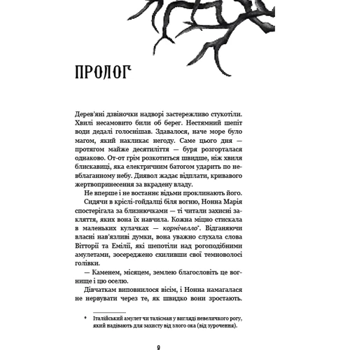 Керрі Маніскалко: Королівство Нечестивих. Книга 1: Кількість сторінок 432