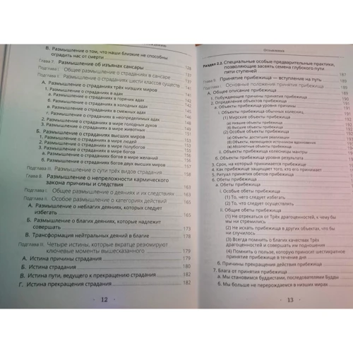 Дудж Рінпоче: Світильник, що опромінює шлях до звільнення: Автор Дудж Рінпоче