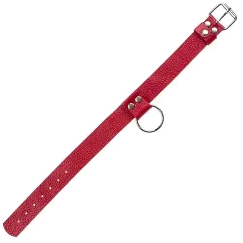 Ошейник Ring of Humiliti Red