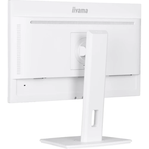 Монітор iiyama XUB2497HSN-W2: Частота оновлення екрану, Гц 100