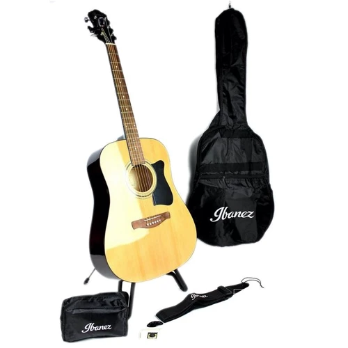Набор начинающего гитариста Ibanez V50NJP NT