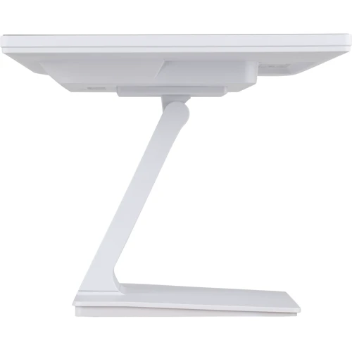Монитор Iiyama ProLite T2452MSC-W1: Время реакции, мс 14