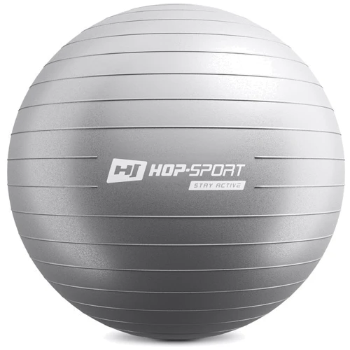 Мяч для фитнеса Hop-Sport 55 см + насос серебристый (HS-R055YB) фото 8