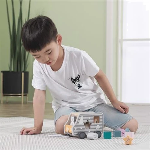 Деревянный сортер-каталка Viga Toys PolarB Грузовичок (44041)