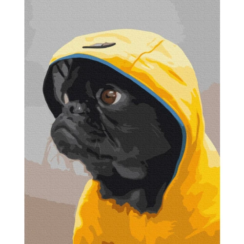Картина по номерам Brushme Мопс в худи 40x50 см (BS52614)
