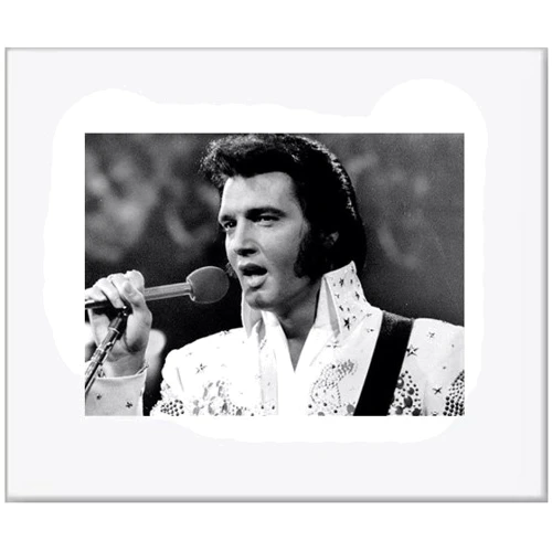 Картина и коллаж Картина Salvadori Arte Elvis 31х26 см (SE301W4536*)