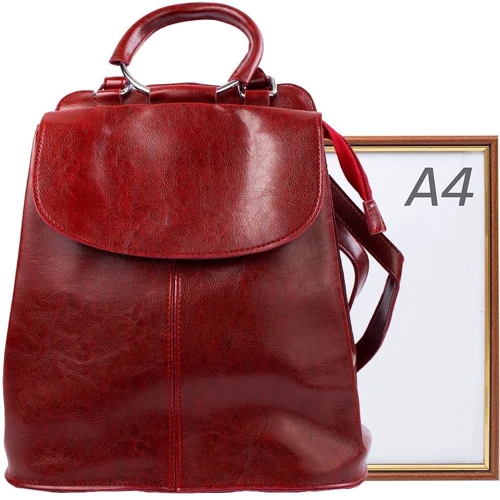 Жіночий рюкзак Valiria Fashion темно-червоний (4DETBI9945-1): Стать жіночий