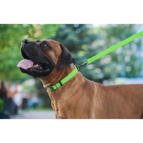 Ошейник WAUDOG Waterproof водостойкий, пряжка крючок 25 мм 35-70 см салатовый (27195): Ширина 25 мм