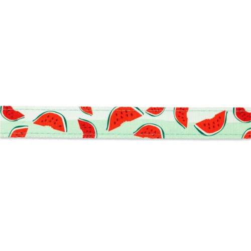 Поводок короткий для собак Max & Molly Short Leash Watermelon L (4894512015722): Длина 1.2 м