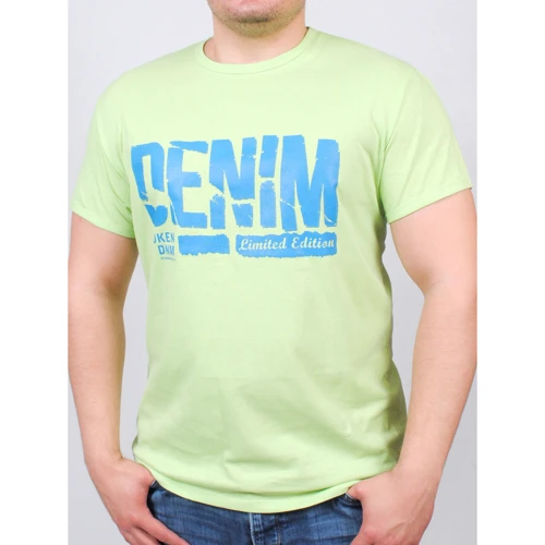 Футболка PFProject BIGDENIMBROK 3XL салатова з принтом