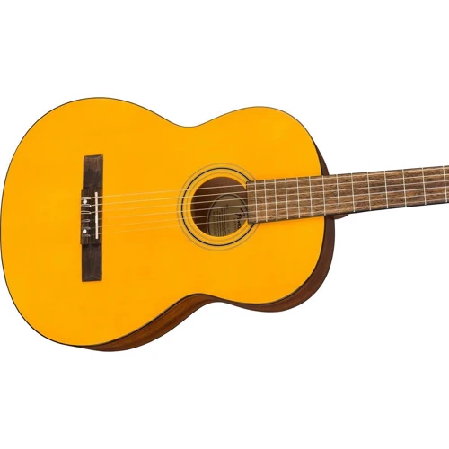 Класична гітара Fender ESC105: Кількість струн 6