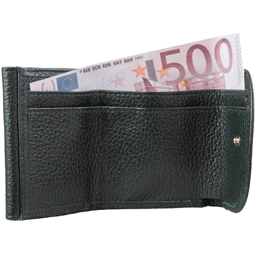 Женский кошелек Desisan темно-зеленый (SHI129-314): Тип Кошельки